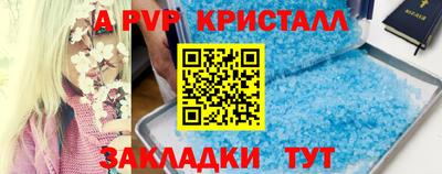 соль ск Бийск