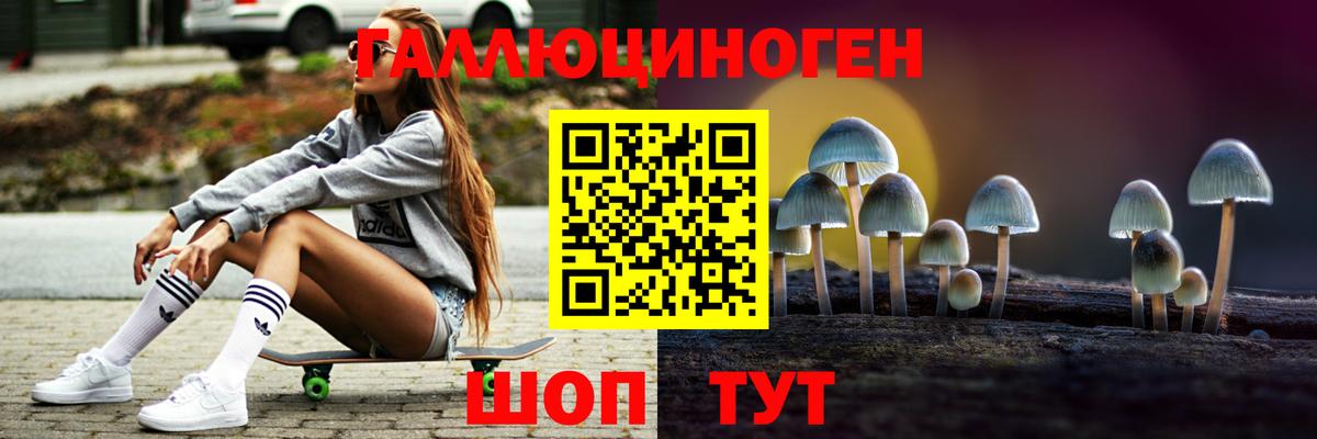 Зеленодольск  Псилоцибиновые грибы прущие грибы  Галлюциногенные грибы Psilocybe  Вход с VPN 