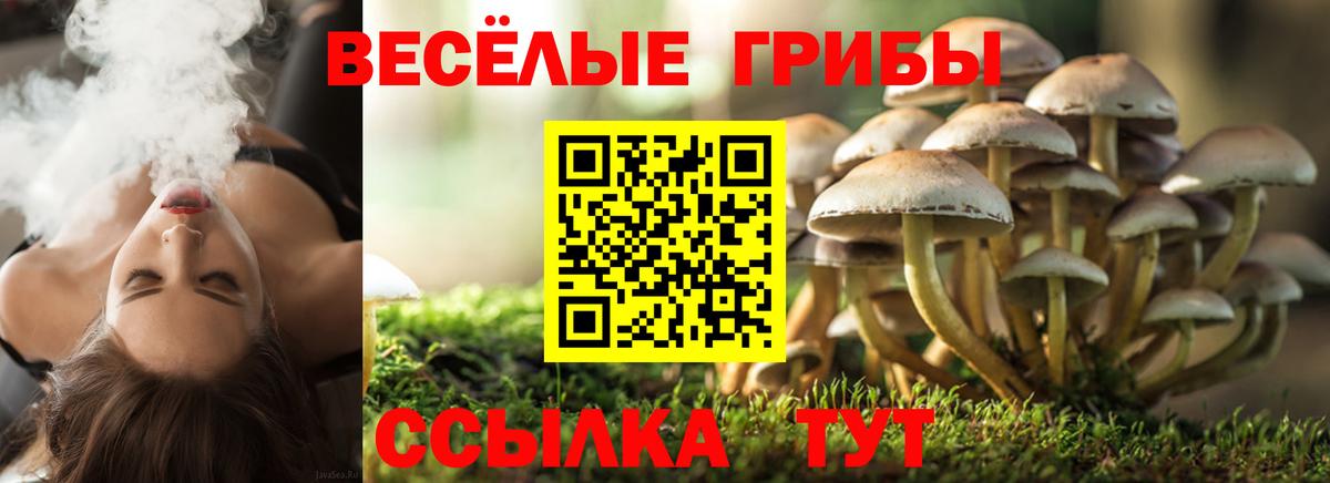 Псилоцибиновые грибы Magic Shrooms Зеленодольск